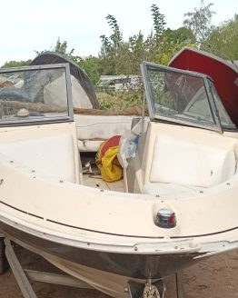 Quicksilver 1600