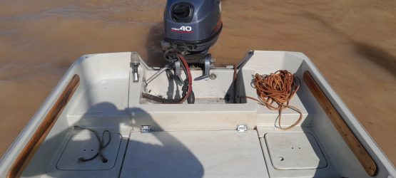 Regnicoli Dorado Fishing - Image 12