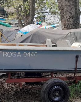 Regnicoli Dorado Fishing