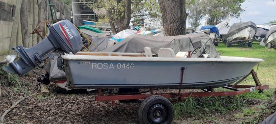 Regnicoli Dorado Fishing